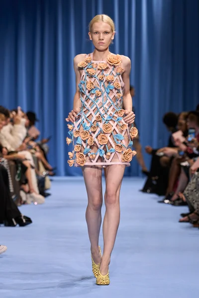 Look 53